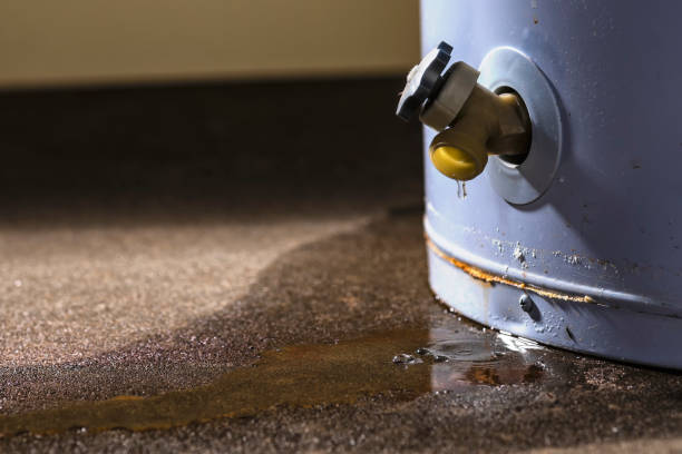 Best Carpet water damage restoration  in Gumlog, GA