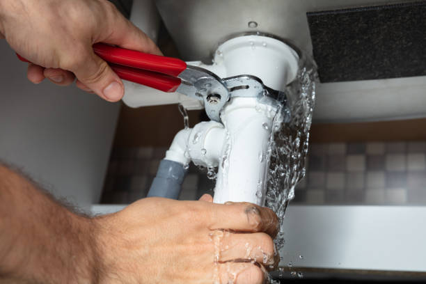 Best Mold removal after water damage  in Gumlog, GA