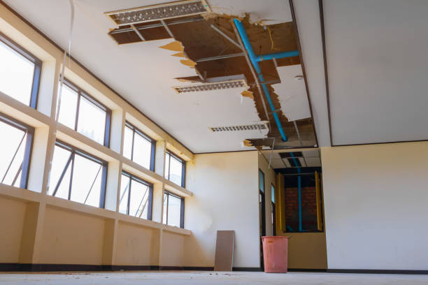 Best 24/7 water damage repair  in Gumlog, GA