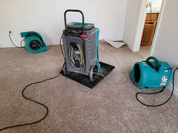 Best Ceiling water damage repair  in Gumlog, GA