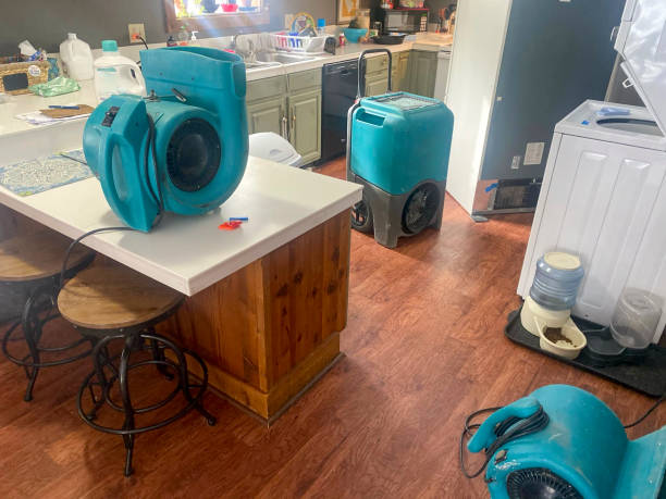 Trusted Gumlog, GA Water damage restoration Experts