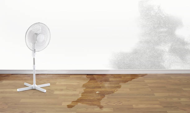 Best Flood damage cleanup  in Gumlog, GA