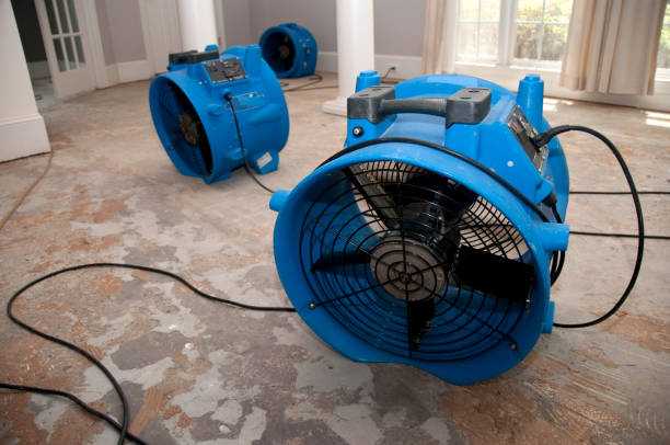 Best Water damage restoration near me  in Gumlog, GA